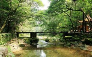 Four Fantastic Scenes of Zhangjiajie 