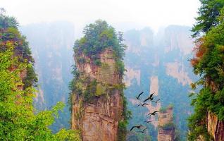 Zhangjiajie Safety Warning for Tourists 