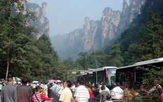 "Summer Student Tour" Resulted in the peak season of Zhangjiajie 