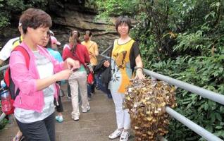 Charming Love Padlocks in Yuanjiajie 