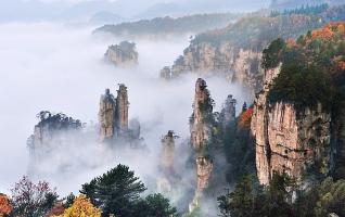 Zhangjiajie Wulingyuan Autumn-winter scenery[Photo Gallery] 