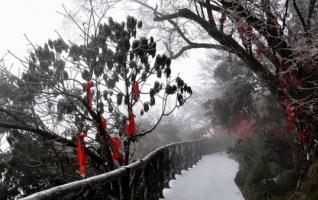 The first snow was ushered in Zhangjiajie Tianmen in 2012[Photo Gallery] 