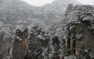 Zhangjiajie Spring snow is the most fascinating 