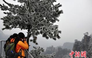 Zhangjiajie spring tour will appear snow in early March 