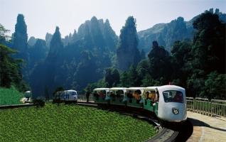 Home to Macaque in Zhangjiajie Scenic Area 