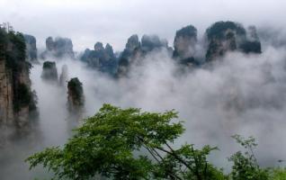 Zhangjiajie March Spring drunk woke up the rain visitors 