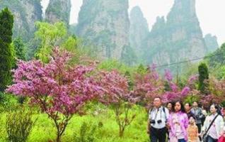 Hunan Tourism Propelled by Its Splendid Landscape 