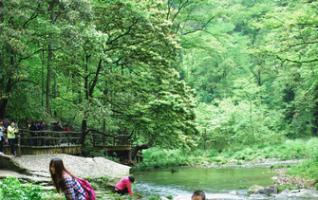 Memory of Golden Whip Stream in Zhangjiajie 