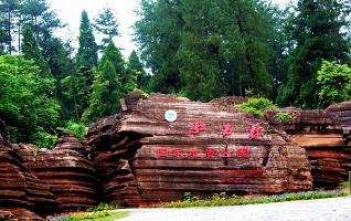 Red Stone Forest [Photo Gallery] 