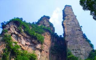 Zhangjiajie National Forest Park--Eagle Nursing Whip 