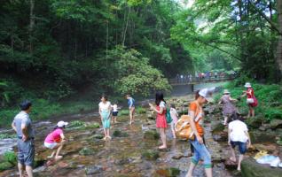 ZJJ National Forest Park usher in Peak season in the summer 