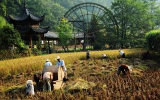 Rural Picturesque Autumn Scenery in Wulingyuan Huanglongdong 