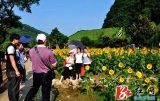 ZJJ Huanglong Cave Self-driving Tourists is Soaring 