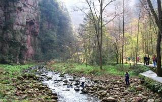 ZJJ Jinbian Stream Scenic Spot Realized Safety and Satisfaction 