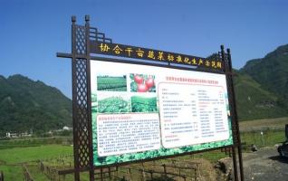 ZJJ Wulingyuan Xiehe’s Vegetable Garden with Beautiful Scenery 