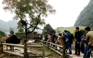 Zhangjiajie Version《Jiangnan Style》is being shooting in Huanglong Cave 