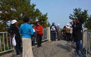 ZJJ Wulingyuan Scenic Spot Reached a High-record in October 