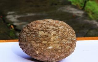 ZJJ YangJiaJie Scenic Spot Appeared Magic “Stone Egg” 