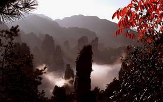 Zhangjiajie Won “Chinese Top Ten Viable Habitats” 