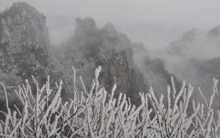 ZJJ Wulingyuan's Beautiful Snowscape Attracts Tourists 