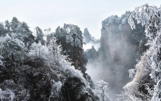 ZJJ Visitors Admired the Snow and A Sea of Clouds During Spring Festival 