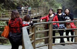 2000 Female Tourists Joyously Toured in ZJJ Grand Gorge on Women’s Day 