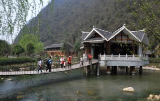 Blossoms and Willows Attract Tourists to ZJJ Yellow Dragon Cave 