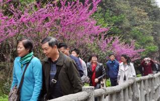 Zhangjiajie Welcoming Flow Peak in Tomb Sweeping Holiday 