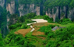 The Most Beautiful Idyllic Scenery Reoccurring in ZJJ Yuanjiajie Scenic Area 