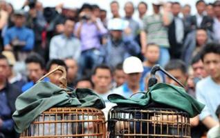 Tongdao Dong Dawuliang Singing Festival Kicks Off in Hunan 