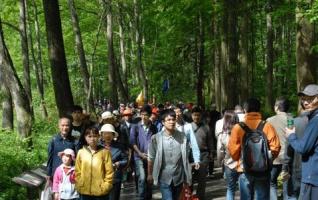 Zhangjiajie National Forest Park Has a Tourism Boom on the Vacation 