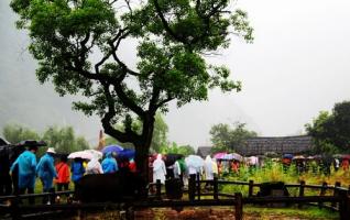 ZJJ Huanglong Cave Recived 7000 People on the First Day May 