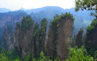 ZJJ National Forest Park Included in the “World’s Top Ten Charm Forests” 