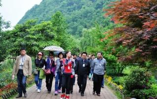 ZJJ Yellow Dragon Cave’s public commitment board of four services 