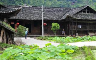 Scenery of Stilted Houses of Tujia Ethnic Group 