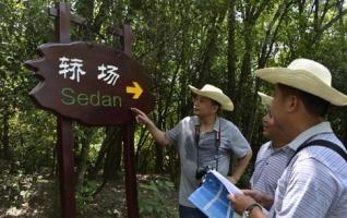 Scutcheons in Wulingyuan Core Scenic Spots “Changed New Faces” 