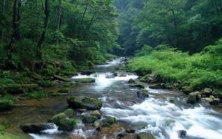 Zhangjiajie: A Good Place for Preventing Summer Heat 