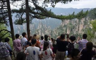 ZJJ Wulingyuan Received nearly 876,000 Tourists in July 