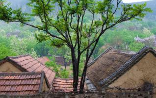 ZJJ Shiyanping Ancient Village Sets Rules to Protect Old Houses 