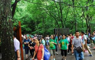 Zhangjiajie Tourism is on the Rise In 2014 