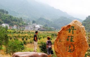 ZJJ Omanthus Garden—A Bright Spot of Eco-tourism Development 