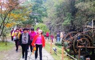 ZJJ Huanglong Cave Appeared Charming Late-autumn Scenery 