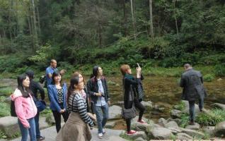 Thailand Mainstream Media Group Visited ZJJ National Forest Park 