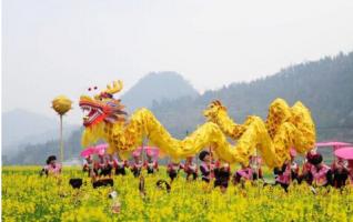 Greeting Dragon Dance in Jishou's Oilseed Rape Field 