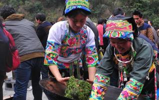 Tea Drying Competition Held in Hunan Baojing 