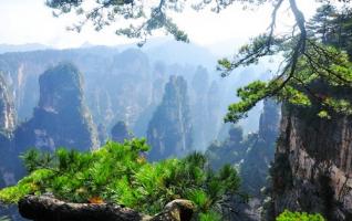 Zhangjiajie Park Was Listed “The World’s Ten Quiet Beautiful Forests” 