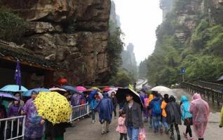 Zhangjiajie Baofeng Lake won Reception Peak During the Tomb-sweeping Day 