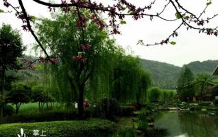 ZJJ Huanglong Scenic Spot has a Wonderful Spring Scenery for an Outing 