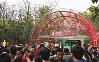 Zhangjiajie Tianmen Mountain Tunnel Elevator opened 