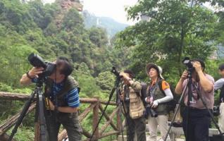 Zhangjiajie invited 50 landscape photographers to tour scenic spot 